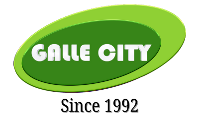 Galle City Fancy House