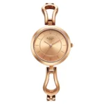 TITAN Ladies Watch (2727WM01)