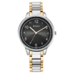 TITAN Ladies Watch (2648KM02)